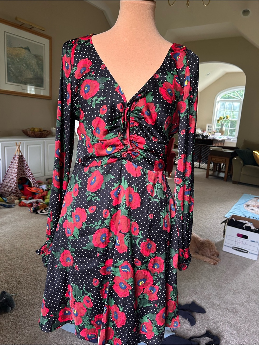 Free People Black Long Sleeve Floral V-Neck Dress with Red Flowers